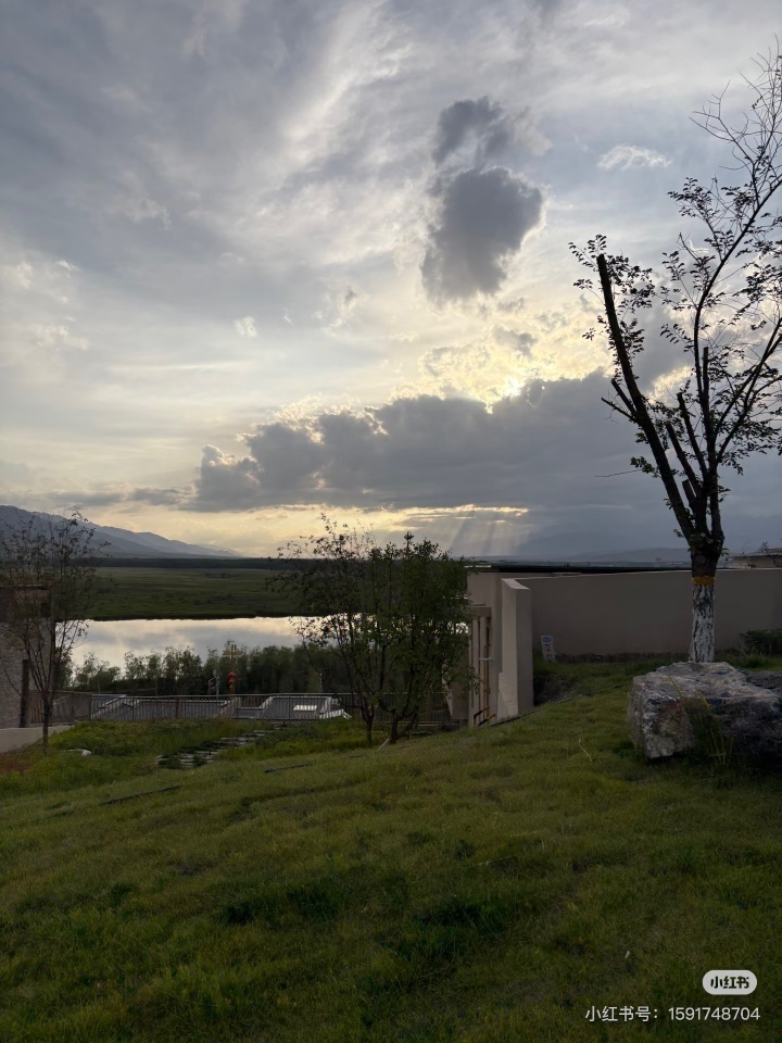 https, 中国球员杨