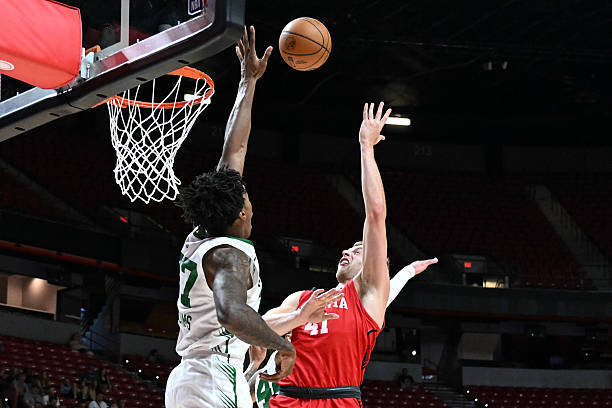 率也不是特, ports